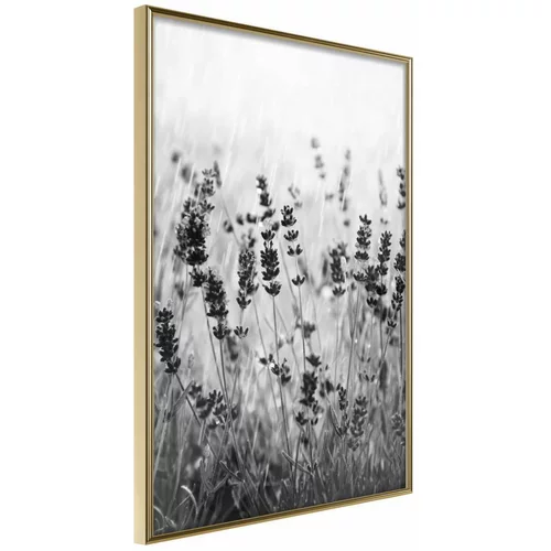  Poster - Shadow of Meadow 40x60