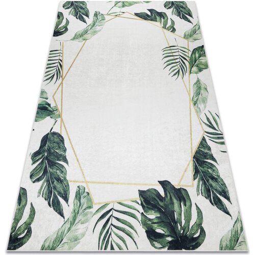 RugsX Preproge ANDRE 1168 pralna preproga Listi monstere, kocka 160x220 cm Bela Cene