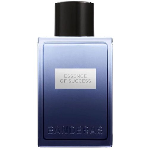 Antonio Banderas Essence of Success Eau de Toilette 100 ml Slike
