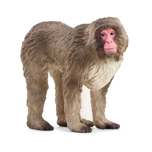 Schleich 14871 - Wild Life - rdečelični makak Cene