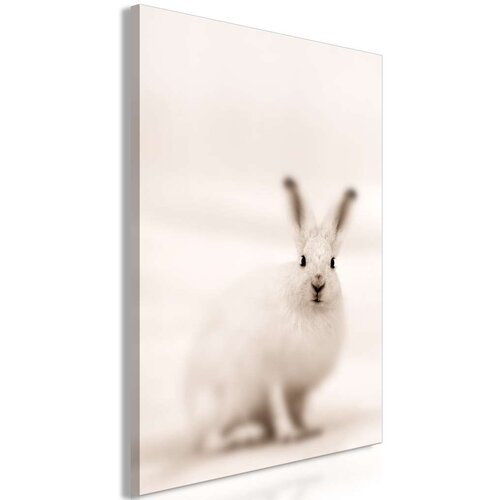  Slika - Fearful Look (1 Part) Vertical 40x60 Cijene