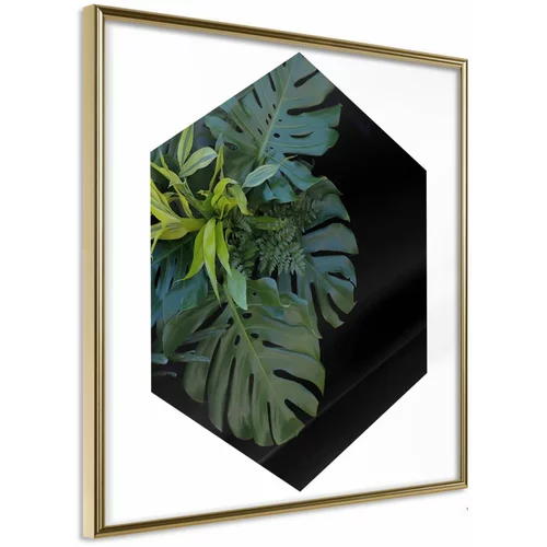  Poster - Cell of Jungle 50x50