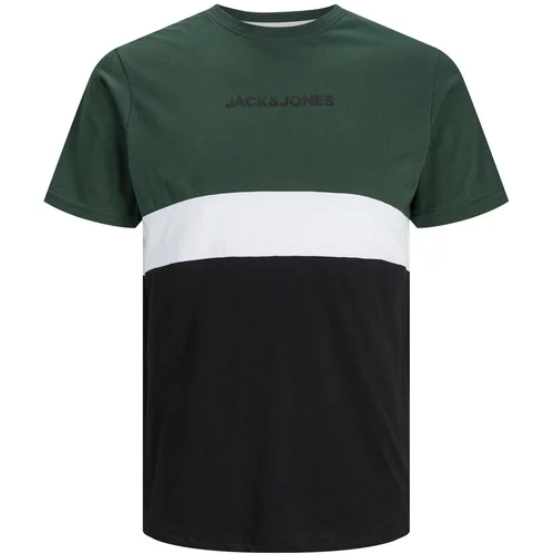 Jack & Jones Plus Majica 'REID' tamno zelena / crna / bijela
