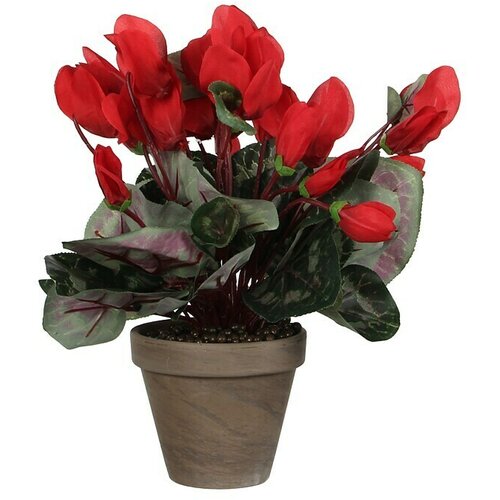 Edelmann Umjetna biljka (Visina: 30 cm, Crvene boje, Plastika) Cijene