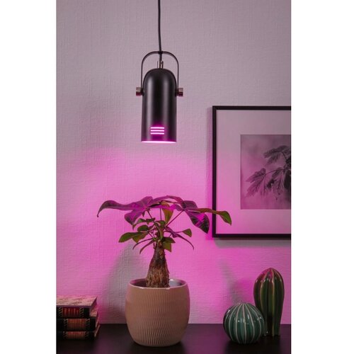 PAULMANN 79766 - LED RGBW 1xE27/15W viseća lampa na sajli LAVEA 230V crna Slike
