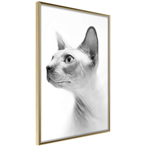  Poster - Sphinx 30x45 Cijene
