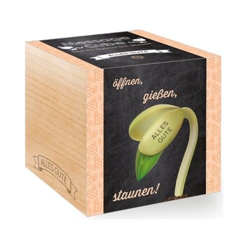 Feel Green Message Cube "Alles Gute" Cene