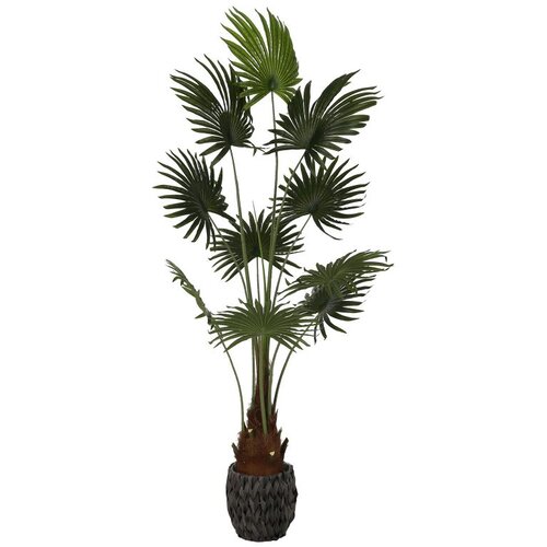 Lepezasta palma na deblu, umjetna, 180 cm Cene