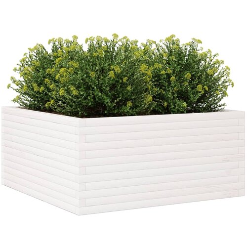  Vrtna sadilica bijela 100x100x46 cm od masivne borovine Slike