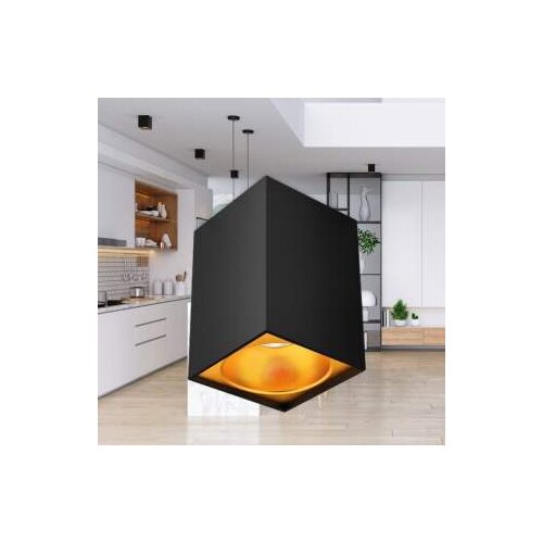 Braytron SVJETILJKA BETA PLAFON GU10 IP20 KVADRATNA BIJELA BH04-00110 Slike