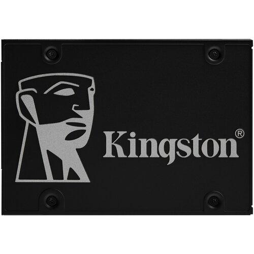 Kingston SSD mSATA 256 GB SKC600MS/256G 550 MB/s/500 MB/s Slike
