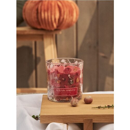 Sinsay Svijeća Autumn Harvest Slike
