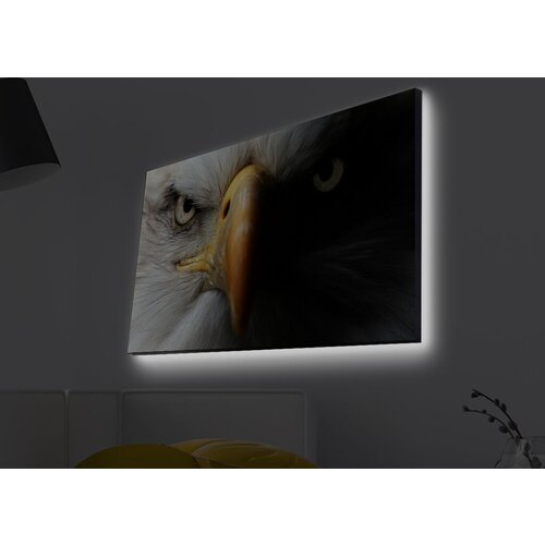 Wallity Slika sa LED osvetljenjem 4570MDACT-025, 45x70 cm Cene