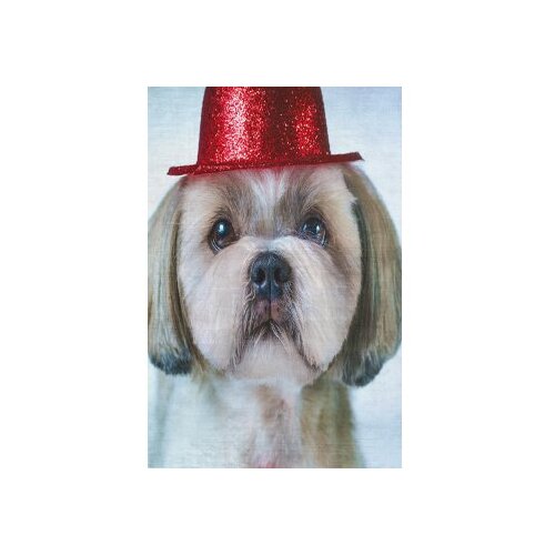 Conceptum Hypnose tepih (180x280) KHMFESTO008KECE Cene