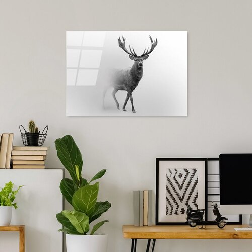 Wallity slika UV-284, 50 x 70 cm Cene