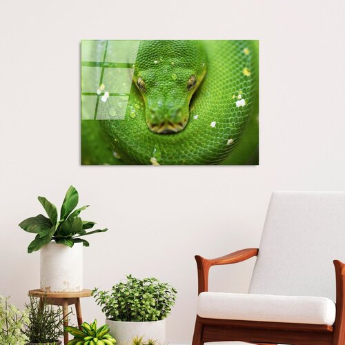 Wallity slika UV-287, 50 x 70 cm Slike