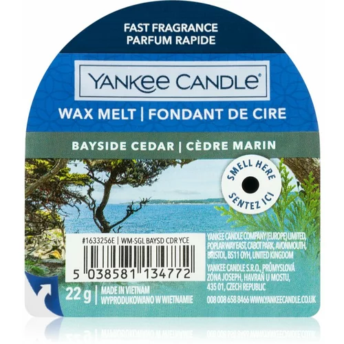 Yankee Candle Bayside Cedar vosak za aroma lampu 22 g