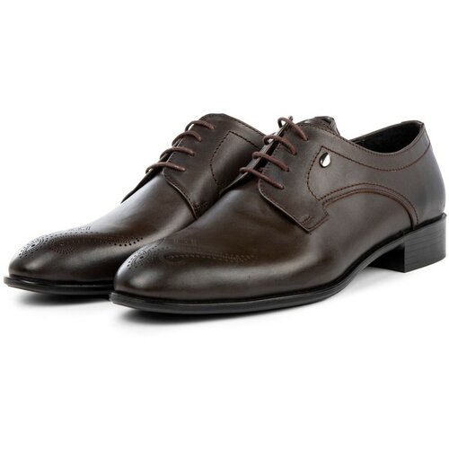Ducavelli Taura Genuine Leather Men's Classic Shoes, Derby Classic Shoes, Lace-Up Classic Shoes. Cene