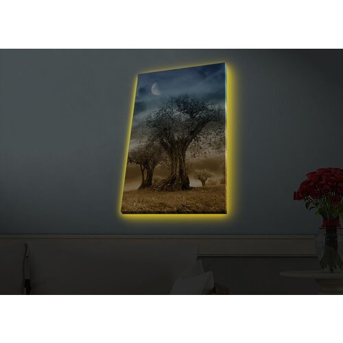 Wallity Slika sa LED osvetljenjem 4570HDACT-076, 45x70 cm Cene