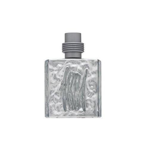 Nino Cerruti 1881 Silver Toaletna voda za moške 100 ml Cene