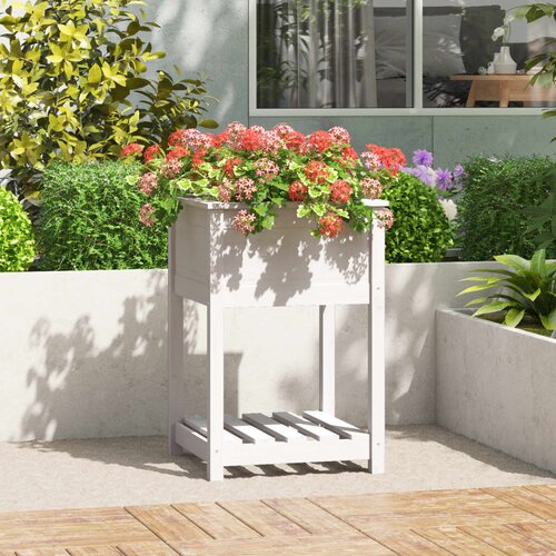 VidaXL Sadilica s policom bijela 54x54x81 cm od masivne borovine Slike