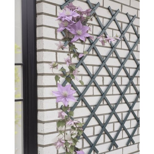 Nature vrtna re&amp;scaron;etka 50 x 150 cm PVC antracit Slike