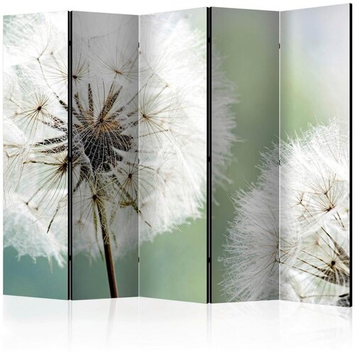 Artgeist Paravan Two Dandelions I, 5-Delni, Dvostranski Cene