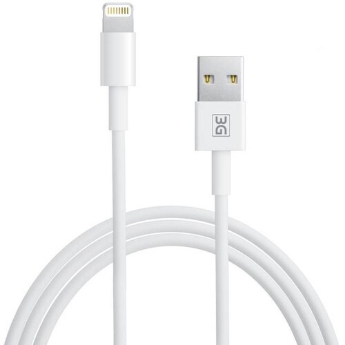  Data kabl L 3G USB na Lightning 1m Cene