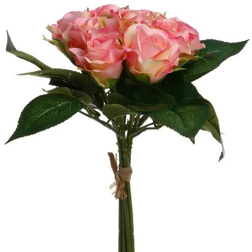 M&amp;ouml;max Okrasni &amp;Scaron;opek Vrtnice Pink Slike