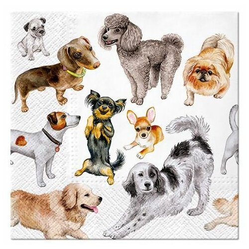 Dekupaž salvete - Dogs Happiness - 1kom Slike