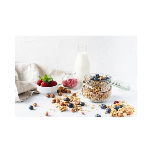 Bake Affair Bio Granola Cene