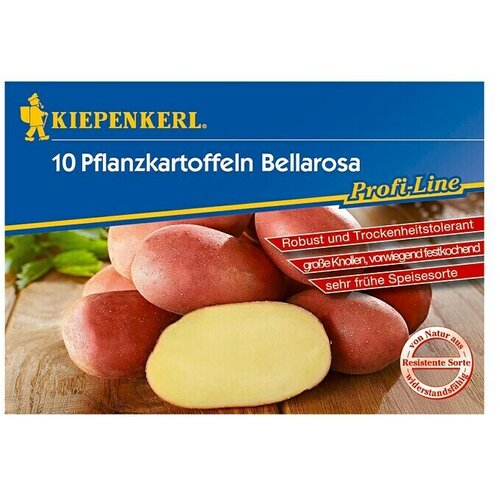 KIEPENKERL Profi-Line Sjemenski krumpir (10 Kom.) Cijene