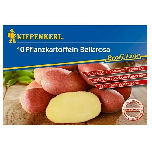 KIEPENKERL Profi-Line Sjemenski krumpir (10 Kom.)