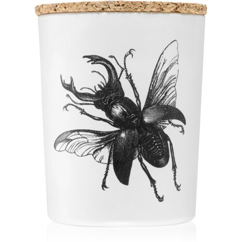 Vila Hermanos Insect Lucanus Cervus mirisna svijeća 75 g Cene