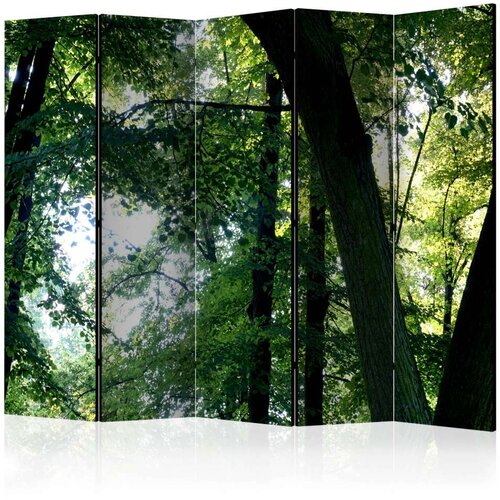  Paravan u 5 dijelova - Spring in the Park II [Room Dividers] 225x172 Cijene