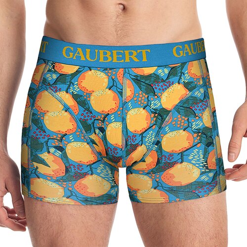 Gaubert moške boksarice bambus citrus Cene