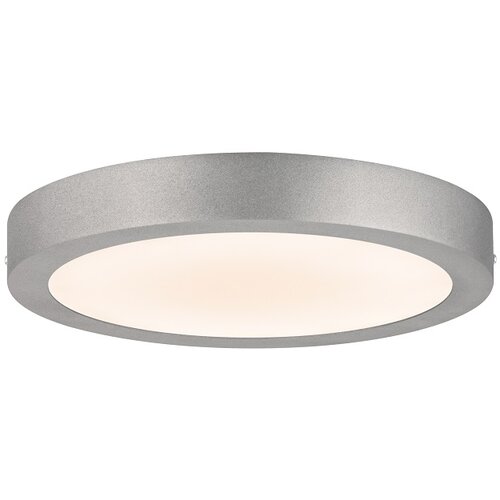  Okrugla stropna LED svjetiljka (15 W, Ø x V: 30 x 3,8 cm, Krom, Topla bijela) Cijene