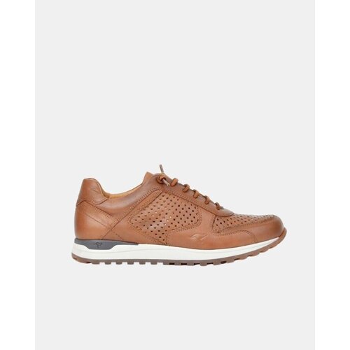 Kangaroos Nizke superge 846 13 Kostanjeva Cene