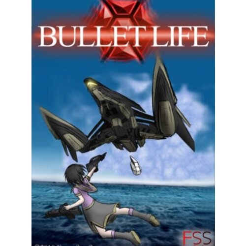 Steam Bullet Life 2010 (PC) Key GLOBAL Cene