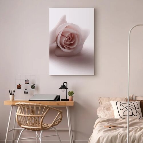  Slika - Floral Glamour Glow (1-part) - Delicate and Pastel Pink Rose 40x60 Slike