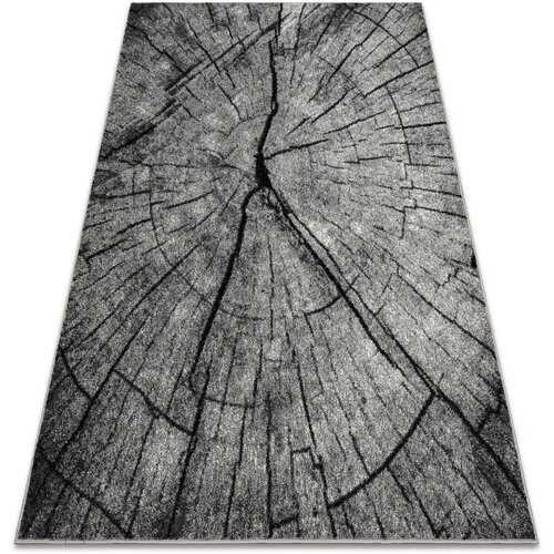 RugsX Preproge Preproga SILVER TRONKO Deblo drevesa les - 300x400 cm Siva Cene