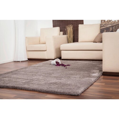  Preproga z visokim florom Super Soft Shaggy (barva platine, 150 x 80 cm, 100-odstotni poliester (flor)) Slike