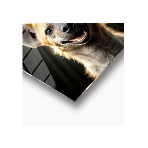WALLXPERT dekorativna slika wildness 25 x 25 Slike