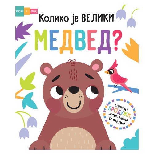  Povuci i otkrij - Koliko je veliki medved? Slike