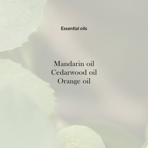 WoodWick Verdant Fig di&amp;scaron;eča sveča z lesenim stenjem 275 g Slike