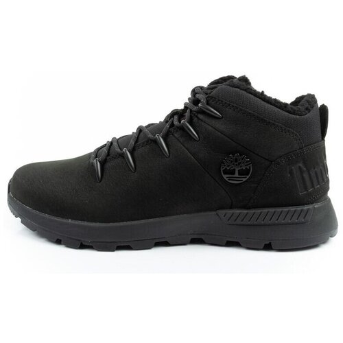 Timberland Nizke superge TB0A69KC015 Črna Cene