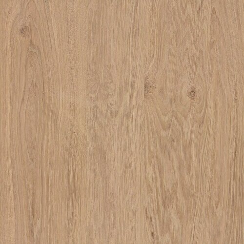  HPL plo&scaron;ča (Hrast, Do x &Scaron; x De: 1.390 x 620 x 3 mm) Cene