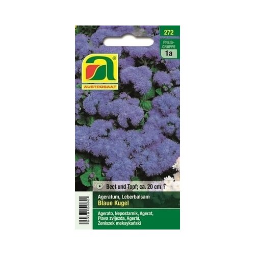 AUSTROSAAT Ageratum &amp;quot;modra krogla&amp;quot; Slike