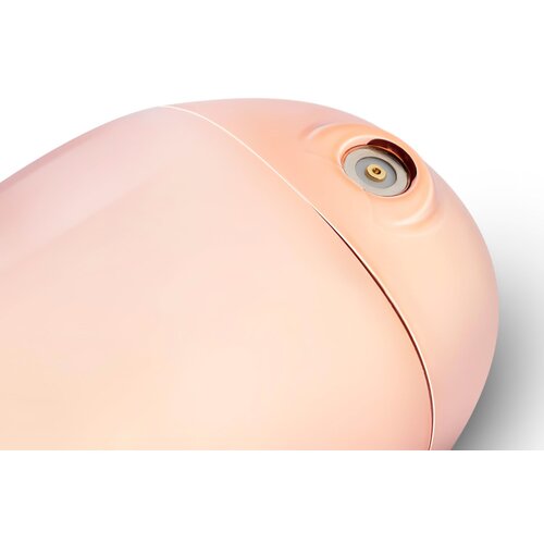 Rosy Gold Vibrator - Mini Massager Slike