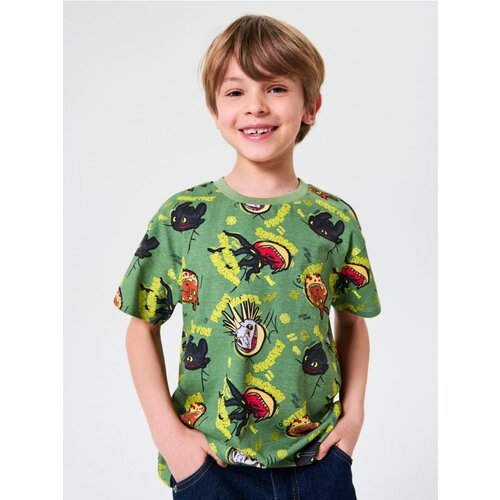 Sinsay Majica kratkih rukava How to train your dragon Cijene